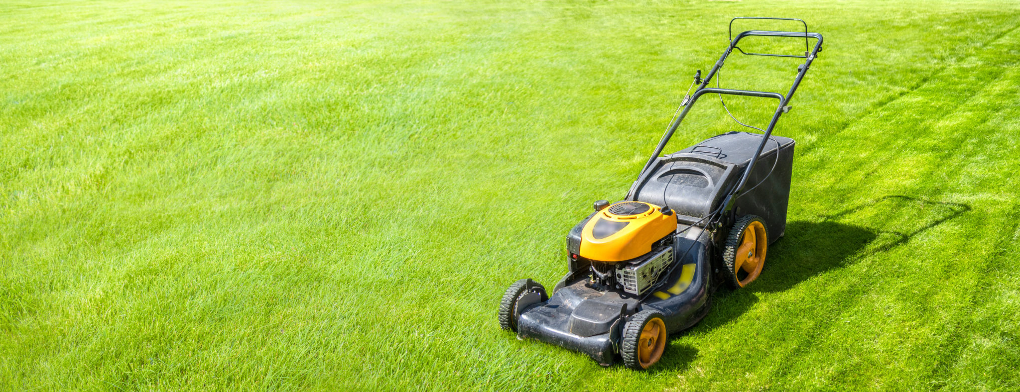 Lawn Maintenance Guide: How to Get the Greenest Yard This Summer ...