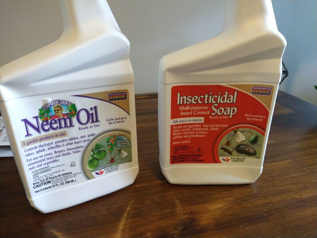 Two bottles side by side on a desk. The bottle on the left is Neem Oil, while the bottle on the right is Insecticidal Soap