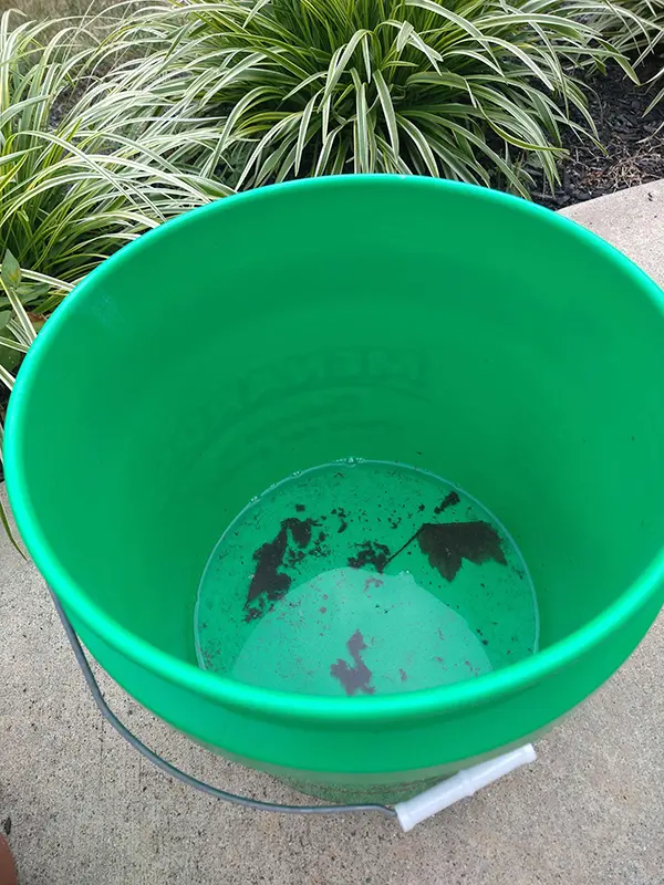 a bucket partially filled with rainwater and leaves