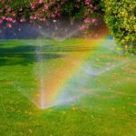 A sprinkler spraying water on a lawn during the day time, causing a rainbow effect