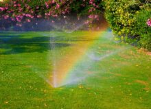 A sprinkler spraying water on a lawn during the day time, causing a rainbow effect