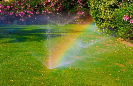 A sprinkler spraying water on a lawn during the day time, causing a rainbow effect