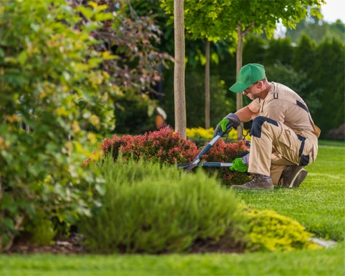 Landscaper conducting landscape maintenance